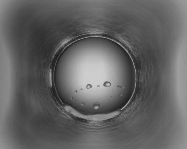 X0000116601171200912111108