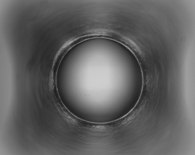 X0000116601172200912111108
