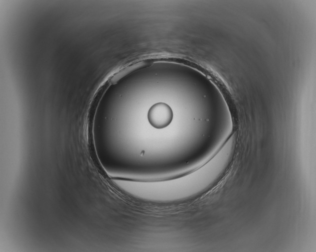X0000116601173200912111108