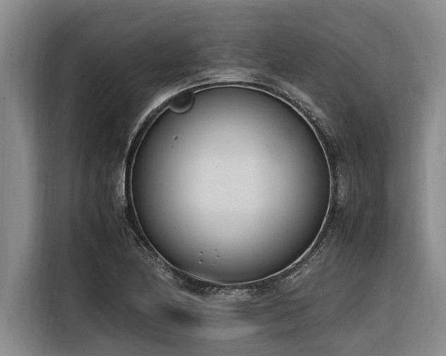 X0000116601174200912111108