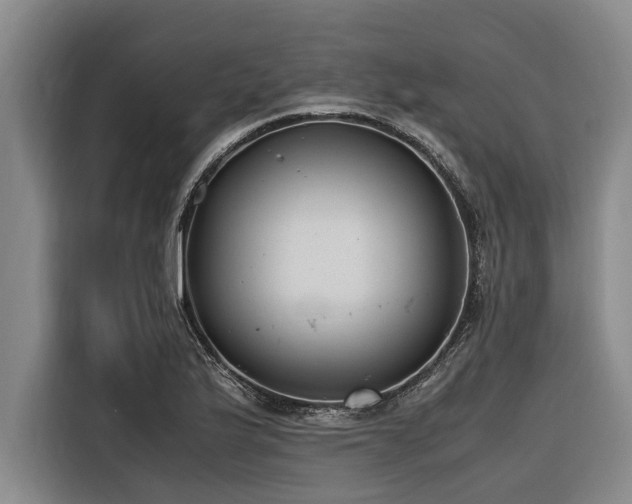 X0000116601175200912111108
