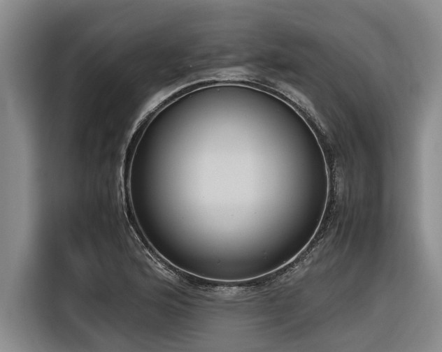 X0000116601176200912111108
