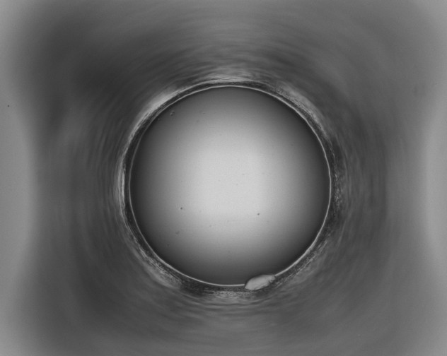X0000116601179200912111108