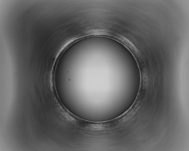 X0000116601182200912111108