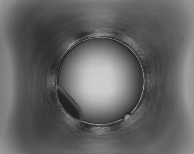 X0000116601185200912111108