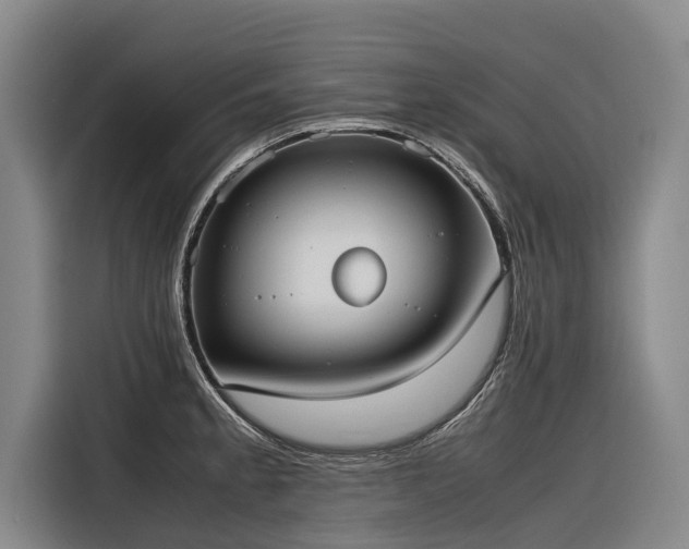X0000116601189200912111108
