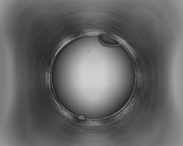 X0000116601194200912111108