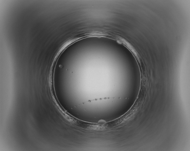 X0000116601195200912111108