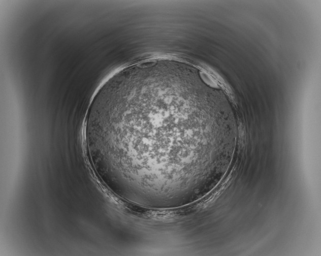 X0000116601198200912111107