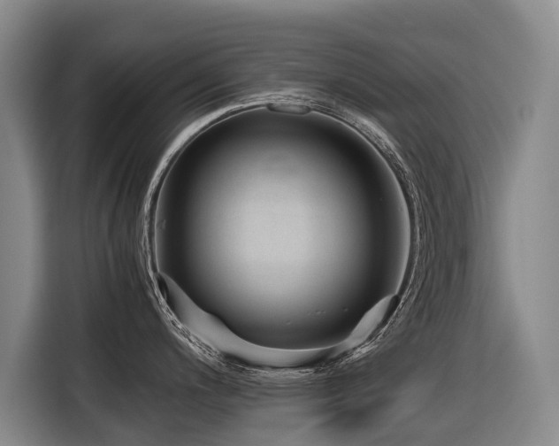 X0000116601200200912111107