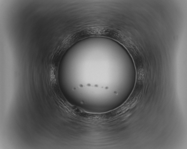 X0000116601202200912111107