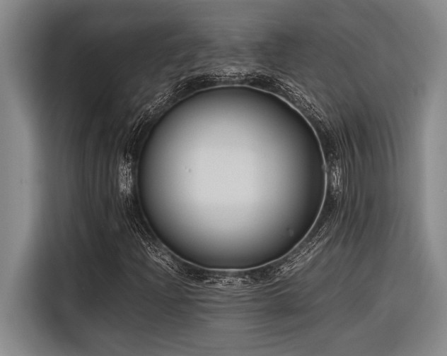 X0000116601204200912111107