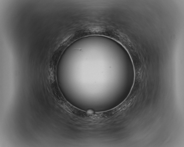 X0000116601205200912111107