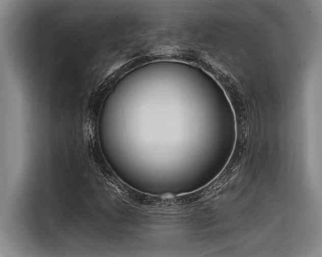X0000116601206200912111107