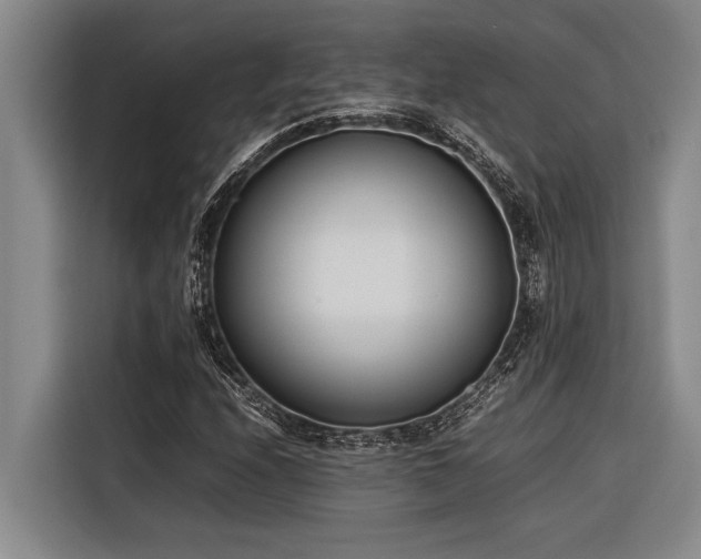 X0000116601208200912111107