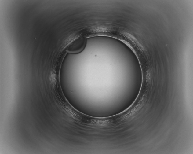 X0000116601209200912111107