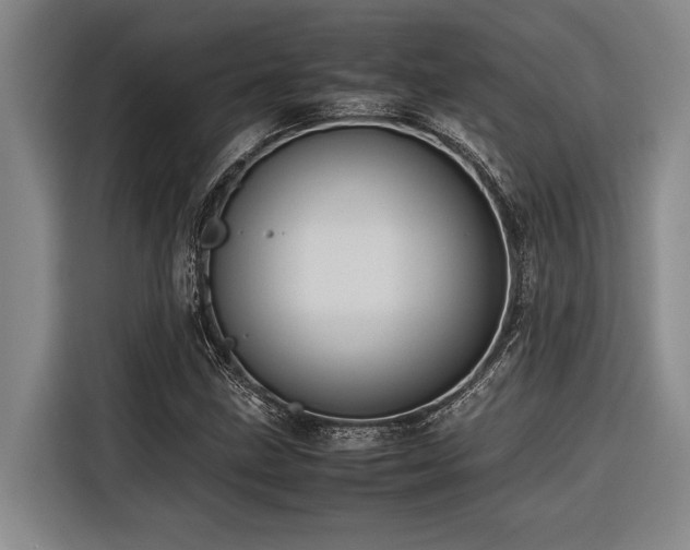 X0000116601211200912111107
