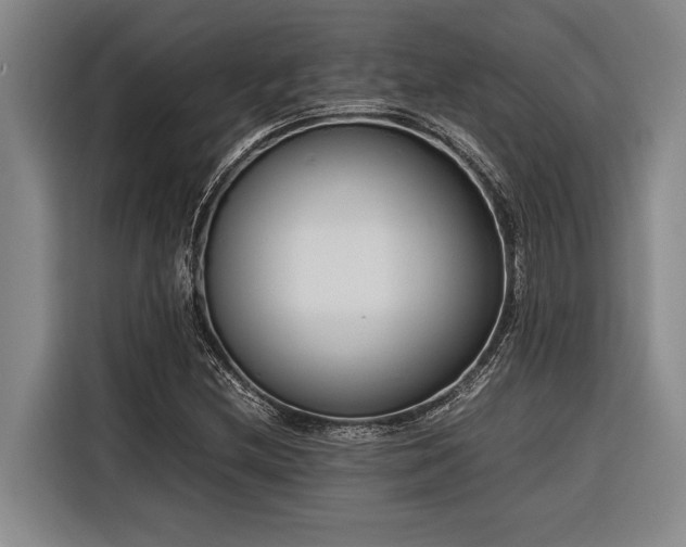 X0000116601212200912111107