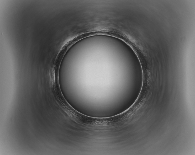 X0000116601214200912111107