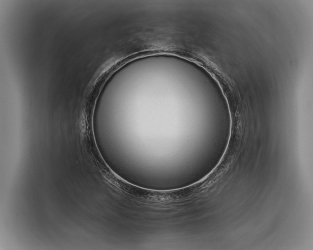 X0000116601215200912111107