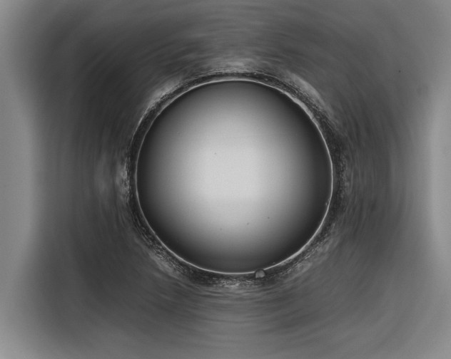 X0000116601218200912111107