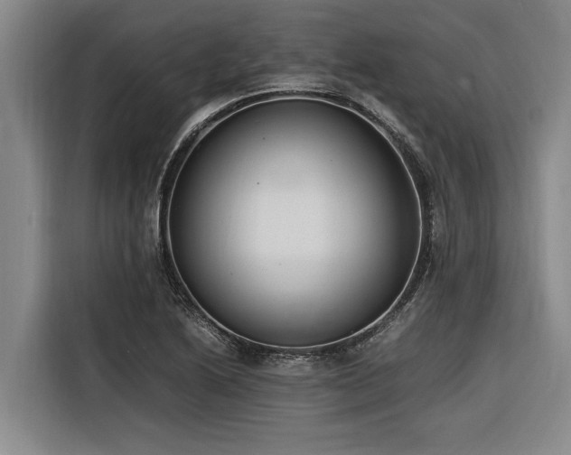 X0000116601222200912111107