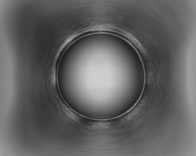 X0000116601224200912111107