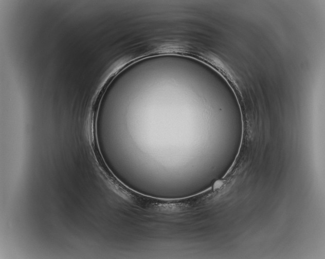 X0000116601227200912111107