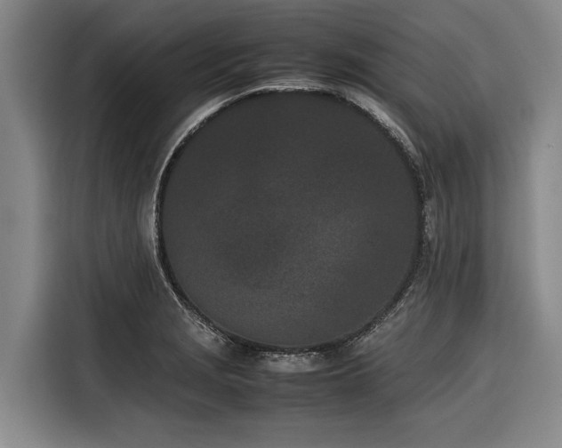 X0000116601229200912111107