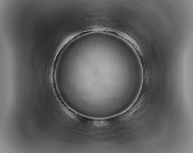 X0000116601231200912111107
