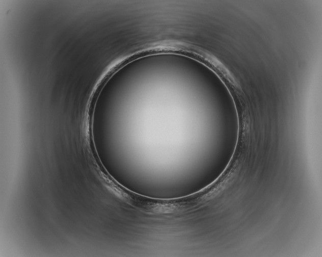 X0000116601232200912111107