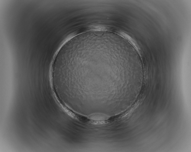 X0000116601235200912111107
