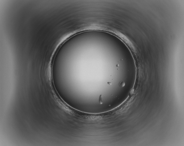 X0000116601238200912111107