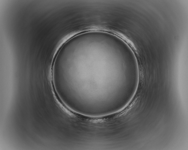 X0000116601239200912111107