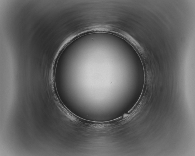 X0000116601240200912111107