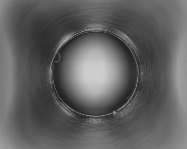 X0000116601242200912111107