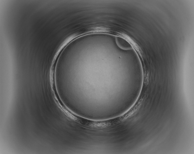 X0000116601243200912111107