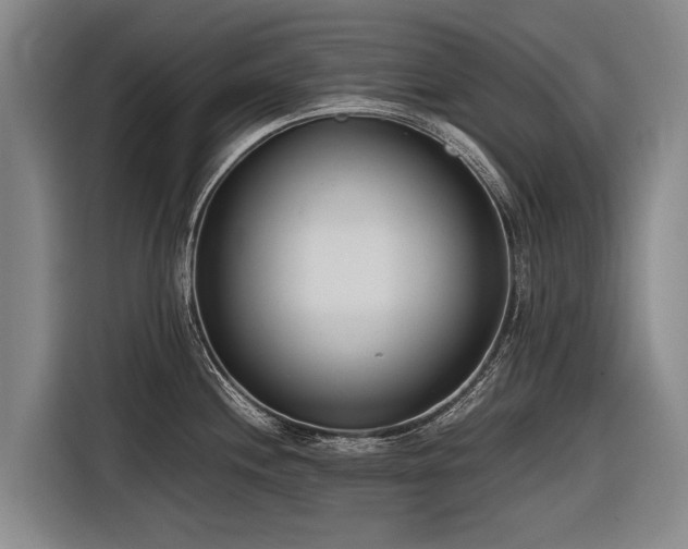 X0000116601244200912111107
