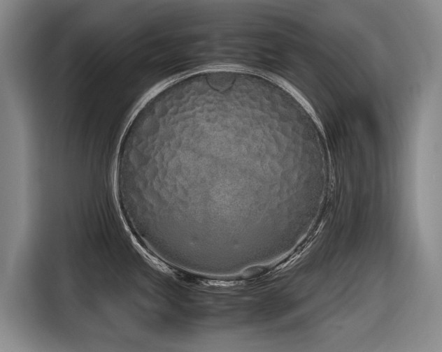 X0000116601245200912111107