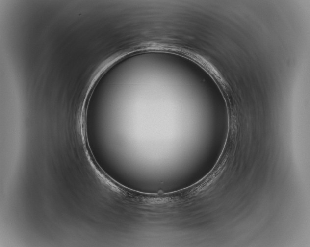 X0000116601247200912111107
