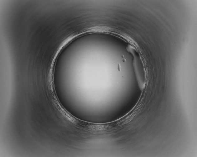 X0000116601248200912111107