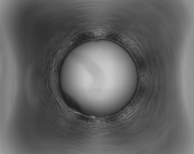 X0000116601249200912111107