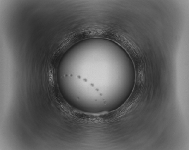 X0000116601250200912111107