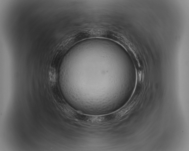 X0000116601251200912111107