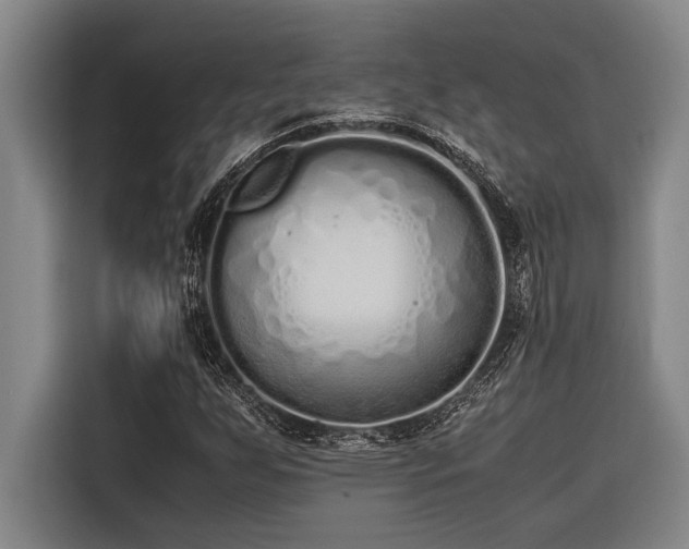 X0000116601255200912111107