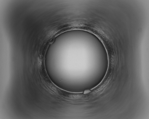 X0000116601257200912111107