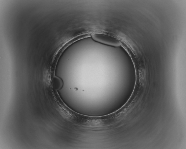 X0000116601260200912111107