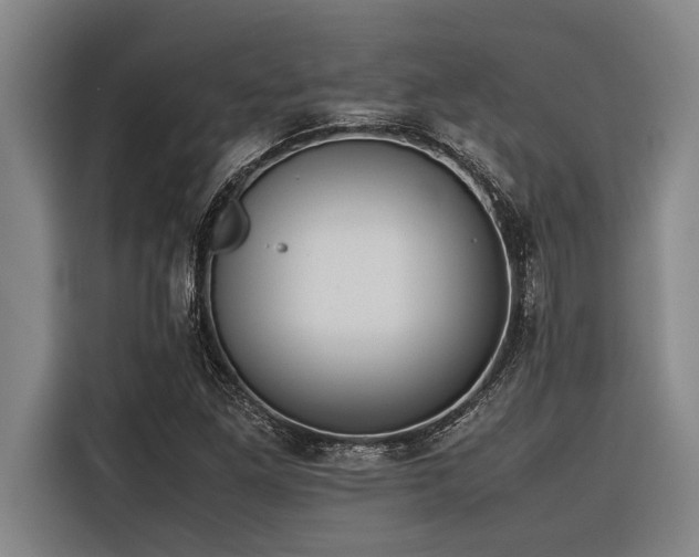 X0000116601261200912111107