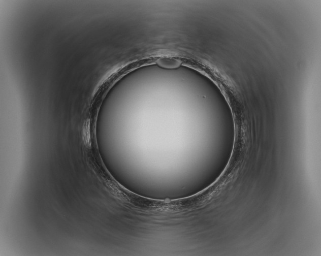 X0000116601262200912111107