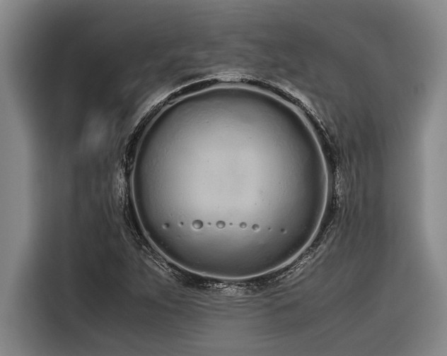 X0000116601263200912111107
